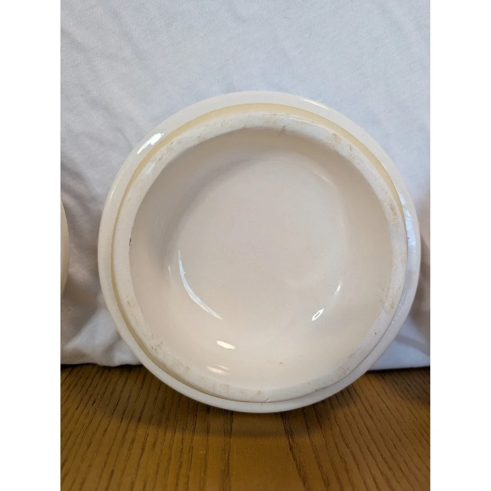Vintage Crock Shop Santa Ana Ceramic Canister Set 3 Apple Ivy Farmhouse Cream